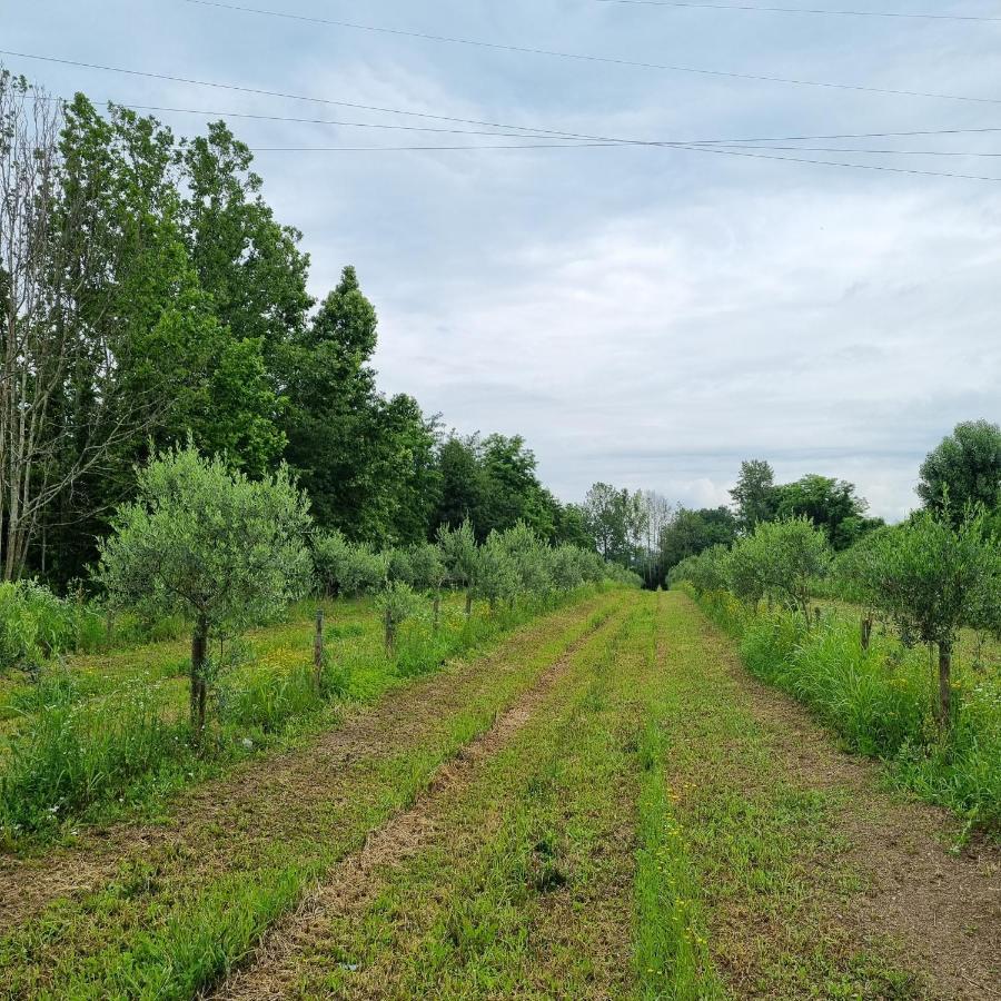 Corte Bottura Agriturismo Castelnuovo del Garda Luaran gambar