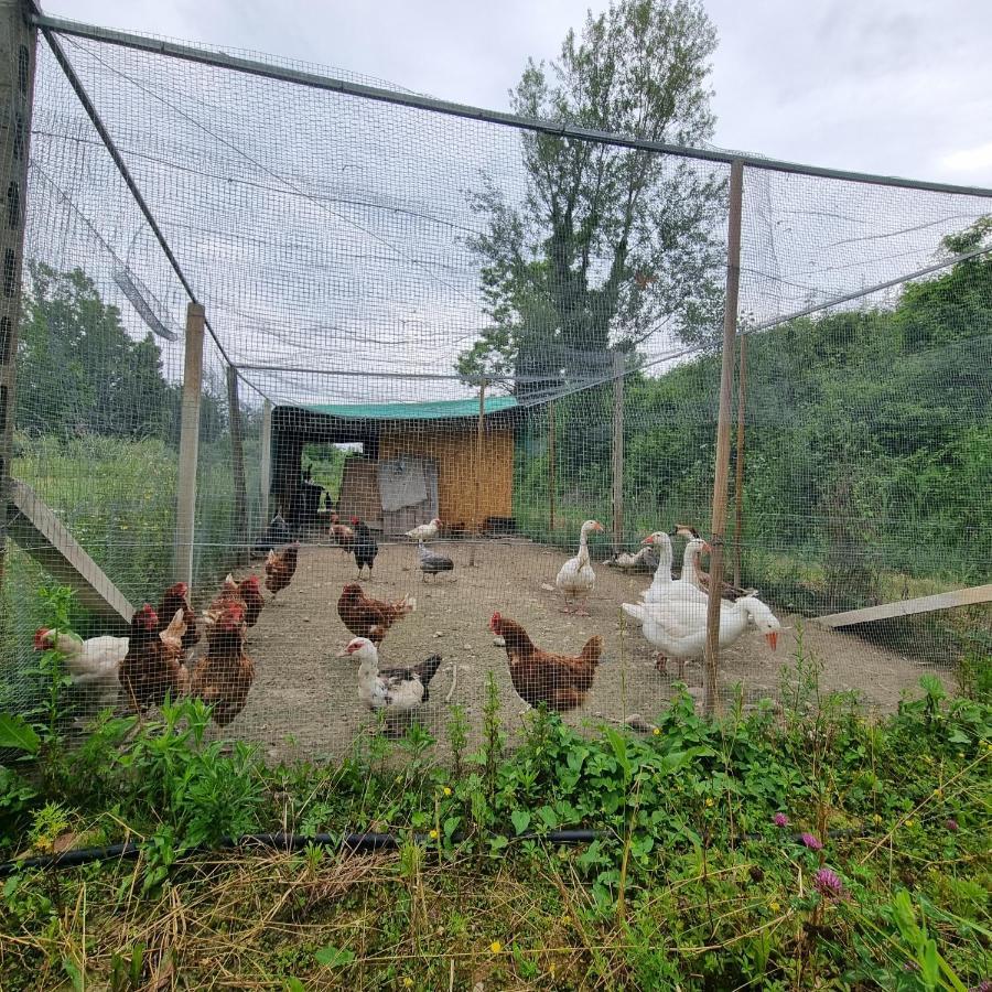 Corte Bottura Agriturismo Castelnuovo del Garda Luaran gambar