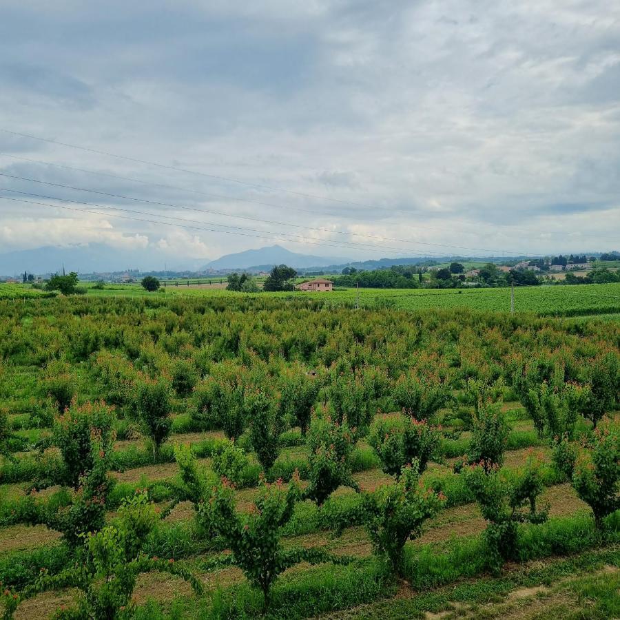 Corte Bottura Agriturismo Castelnuovo del Garda Luaran gambar