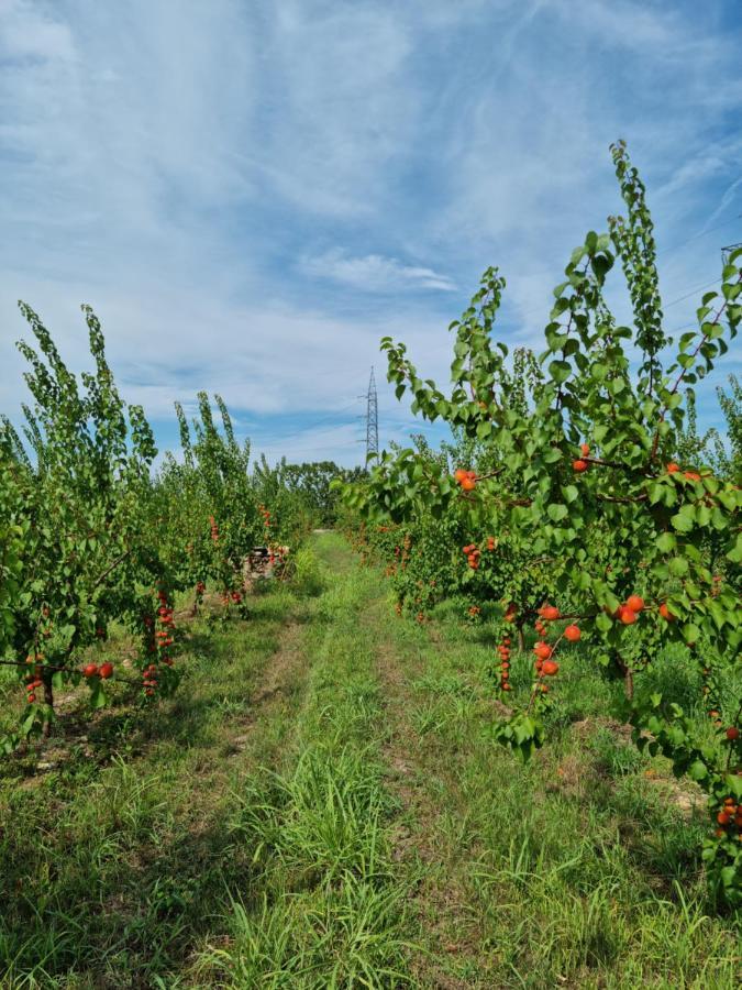Corte Bottura Agriturismo Castelnuovo del Garda Luaran gambar